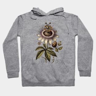 Vintage Passionflower Botanical Hoodie